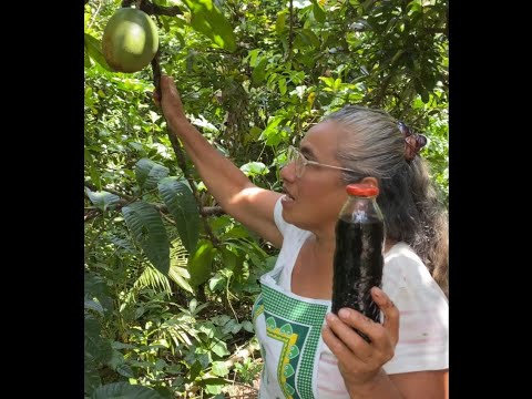 Medicinal remedy with totumo, mate, calabash, fig tree, morro