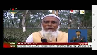 পঞ্চগড়ে চা চাষের সাফল্য (বাংলাদেশ টেলিভিশন)