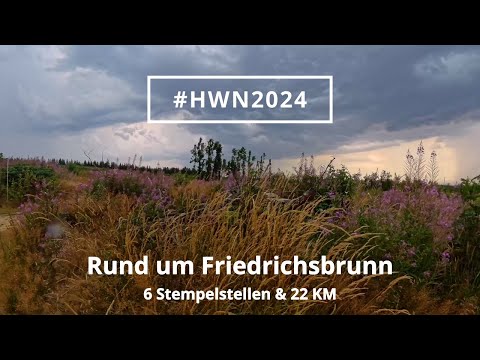 Begleite mich auf meiner Harz-Wanderung rund um Friedrichsbrunn!