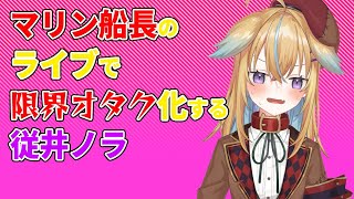 【深層組】マリン船長のライブで限界オタク化する従井ノラ【深層組 従井ノラ 切り抜き】