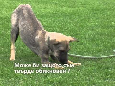 Ще те обичам, какъвто и да си!