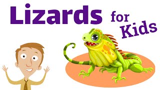 Lizards for Kids | Homeschool Pop
