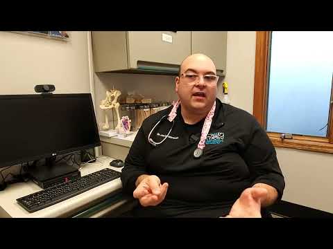Catskill Veterinary Reviews And Compare