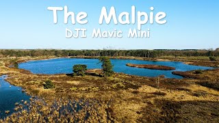 De Malpie, Valkenswaard - The Netherlands