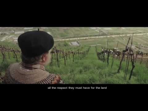 beudon - la terre, l'homme et la vigne