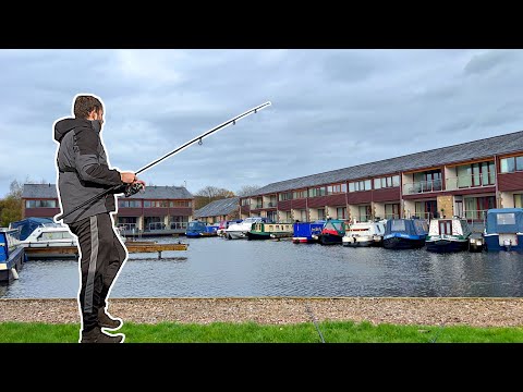 Can I catch the Marina MONSTERS? Pike Fishing with Deadbaits 🐟