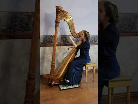 Promotional video thumbnail 5 for Lauren Swain, Harpist