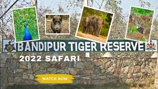 Bandipur National Park Safari 2022 #tigerreserve Full Details