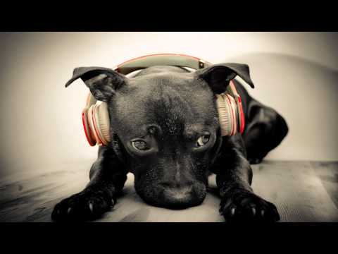 Don Camilo & Manudigital - Champion Juggler