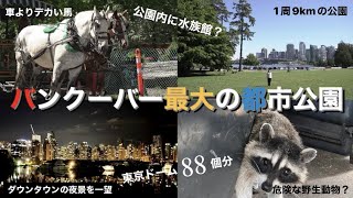 【カナダ留学】バンクーバー人気観光スポット！北米６位の広さを誇る公園がおすすめすぎた！