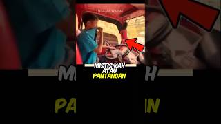 Download lagu Alas Roban semua Supir Truk harus tutup hidung mp3 Download lagu Alas Roban semua Supir Truk harus tutup hidung mp3