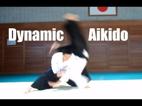 Dynamic and Cool Aikido - Katsunori Suzuki