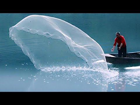 Awesome Cast Net Fishing Skill Catch Tons of Big Fish. Traditional Net Catch Fishing in The River ▶2