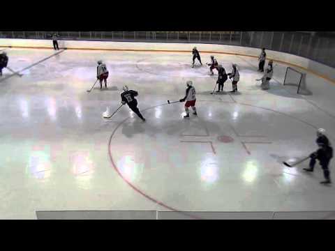 Blues A akatemia - SaPKo A 13.2.2016 - Kooste