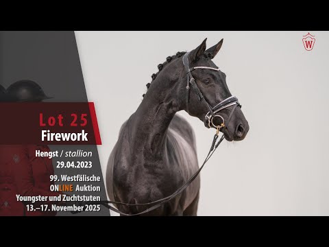Online Auktion Youngster/Zuchtstuten Lot 25 Firework Hengst v. Feliciano - Dressage Royal