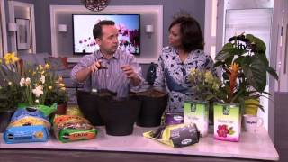 Everything you need to know about soil