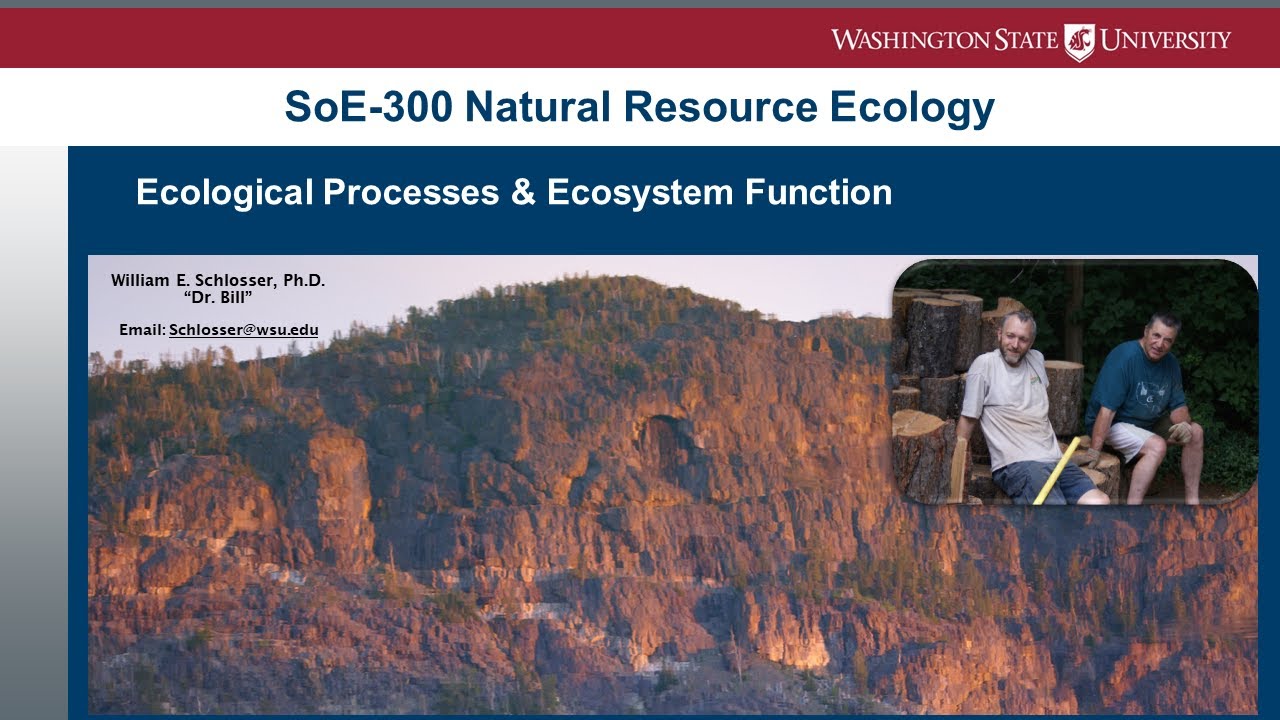 Ecological Processes & Ecosystem Function
