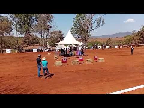 Competição de marcha