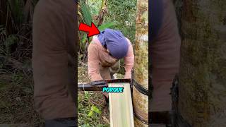 UM DETALHE QUE EVITA ACIDENTES 😨