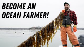 How to Start An Ocean Farm (Step-by-Step)