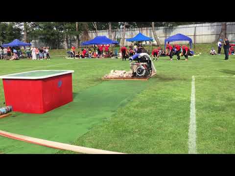 12.8. 2017 Pohárová súťaž Petrová Ves(DHZ Prievaly(B) prvý pokus)