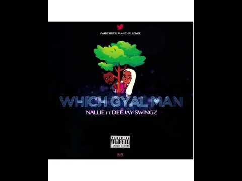 Which Gyal Man - Nallie ft Deejay Swingz
