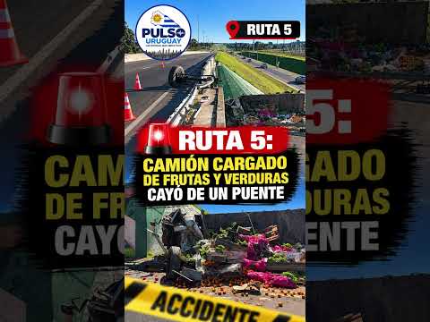 🚨 Camión cargado de frutas y verduras cayó de un puente en Ruta 5