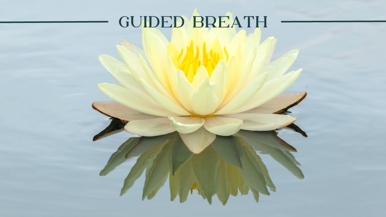 Guided Breath Meditation