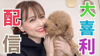 【生配信】ゆかりんごのストレス発散法とは？【大喜利】