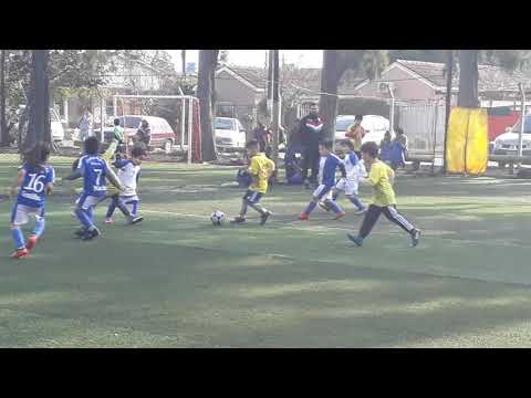 AFHAcosta Golazo de Lío 2013