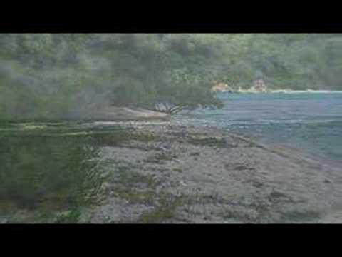 Beach Break: LIttle Reef Bay