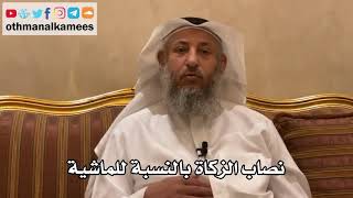 104 - نصاب الزكاة بالنسبة للماشية - عثمان الخميس