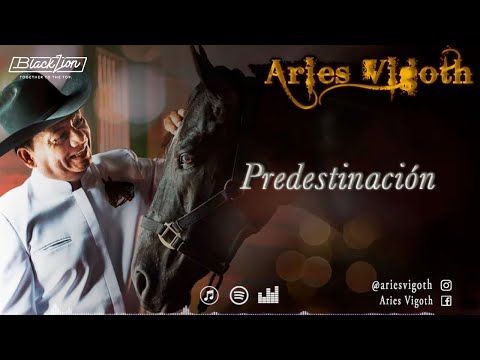 Predestinación | @Aries Vigoth (Video Lyric Oficial)