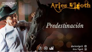 Predestinación | @Aries Vigoth (Video Lyric Oficial)