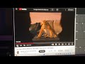 Ice Age Where S The Baby You Lost It Sid Greek
