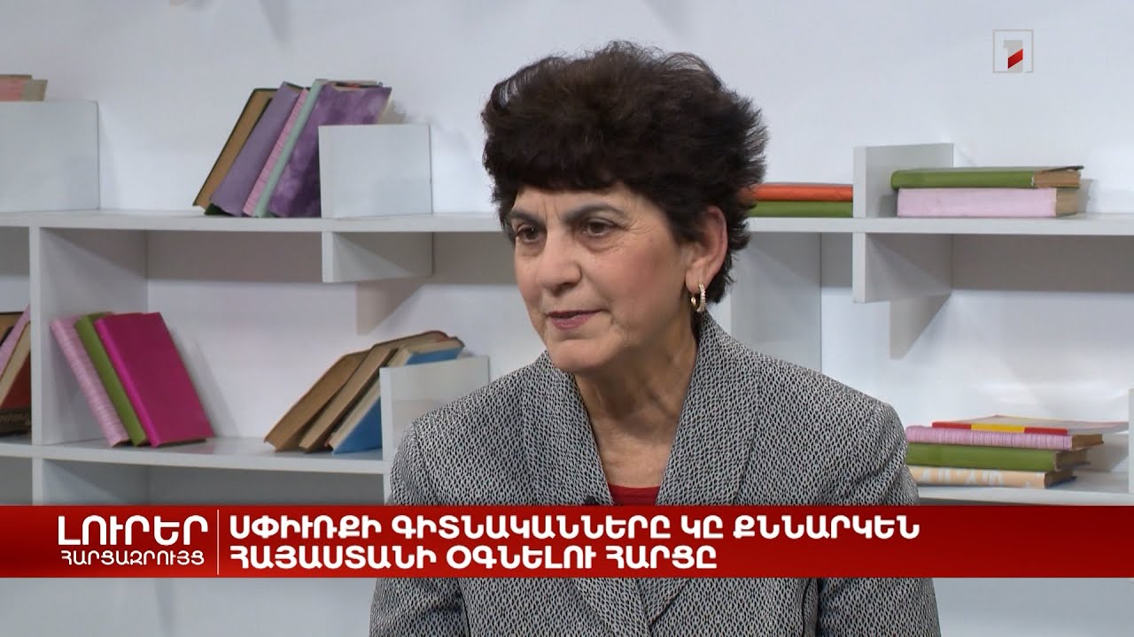 Սփյուռքի գիտնականները քննարկում են Հայաստանին օգնելու հարցը | Հարցազրույց Մերի Փափազյանի հետ