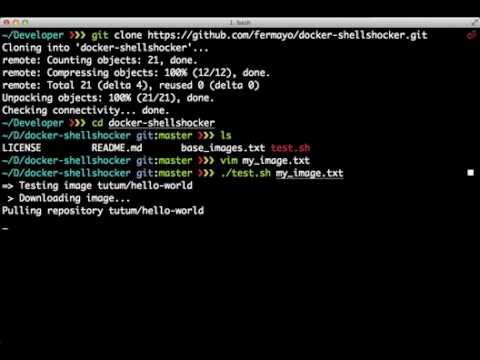 Checking for Shellshock in a Docker Image
