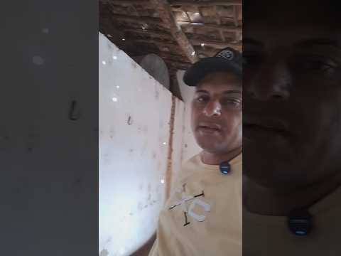 conhecendo a casa de seu Olímpio na serraria município de Umari por dentro