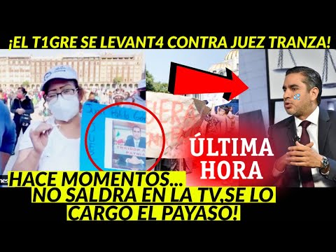 ¡JUSTO AHORA! EL T1GRE SE LEVANT4 CONTRA JUEZ CORRUPT0 SALEN A LAS CALLES IM4GENES DE ULTIMA HORA