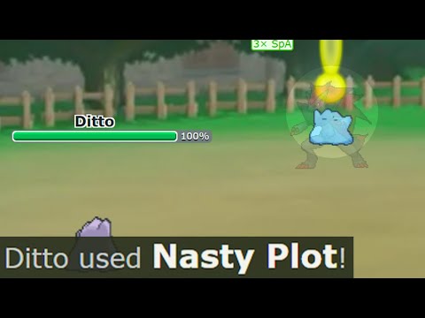 what if zoroark fought ditto as a ditto