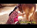 AJ Beshi Dud Pelam Na Cow Milking In Bangladesh Cow Milking Vlog