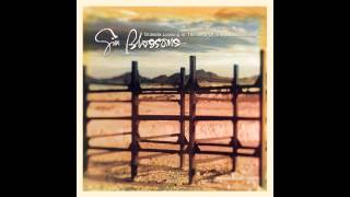 Gin Blossoms, &quot;Pieces of the Night&quot;