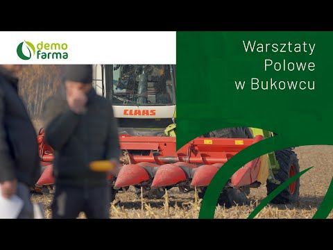 Film na temat: { video.title }}