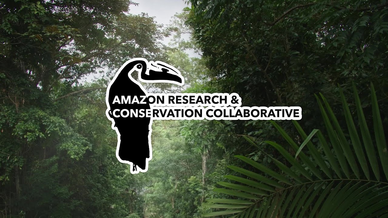The Amazon Research & Conservation Collaborative #ARCC