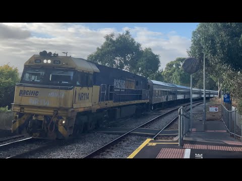 #NR114 leads a 10 car Overland through Glenalta! (Hornshow)