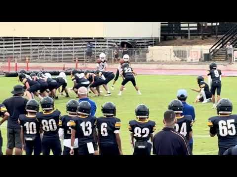 2024 Compilation of Punt and Field Goal / PAT Snaps