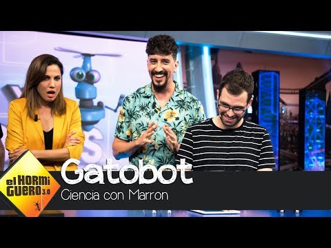 ‘Gatobot’, la nueva mascota de ‘El Hormiguero 3.0’ - El Hormiguero 3.0