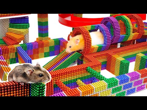 Build a 3 level Maze Challenging for Hamster to Overcome With Magnetic Balls