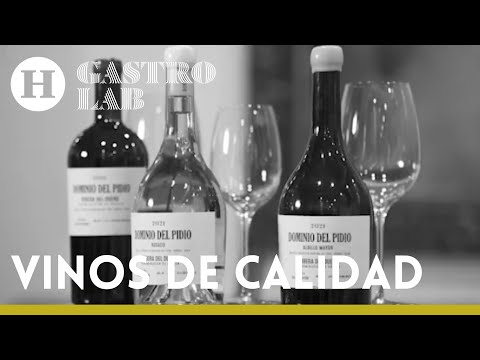 VINOS de CALIDAD | Dominio del Pidio elabora vinos con técnicas del pasado, sin olvidar el futuro