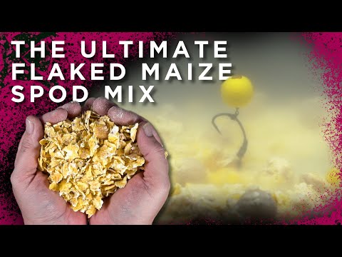 THIS SPOD MIX IS CHEAP AND VERY EFFECTIVE! 😉 CARP FISHING BAIT TIPS | CC Moore